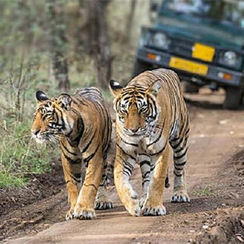 Exclusive HOLI Weekend Getaways by TravelSpell.Com