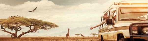 Explore the Wonders of Kenya: An Adventurer's Dream Destination